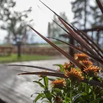 Salpa Luumäki