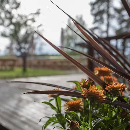 Hotelli Salpa Luumaki