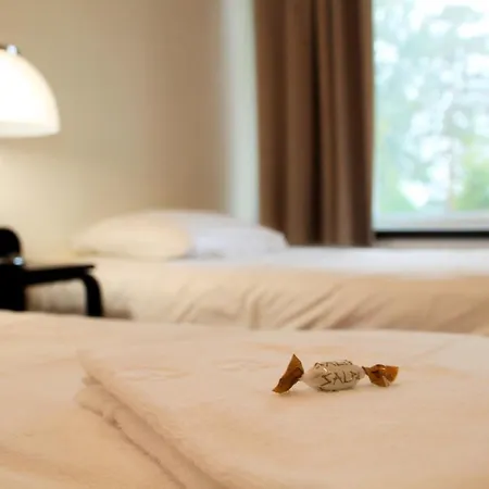 Hotel Hotelli Salpa Luumaki